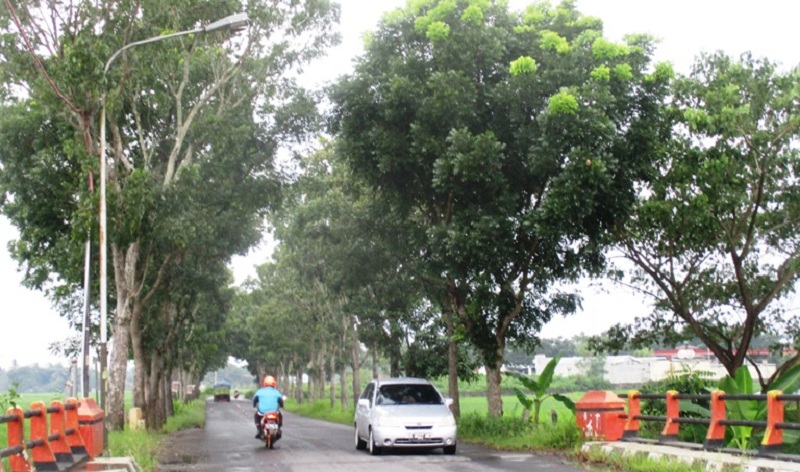 Dikeluhkan, Jalan Lingkar Mewek- Kalimanah Remang-Remang dan Minim Rambu