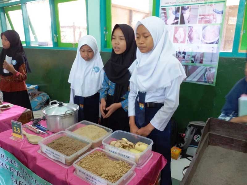 Inovasi Pakan Ayam Broiler dari Ares Pisang