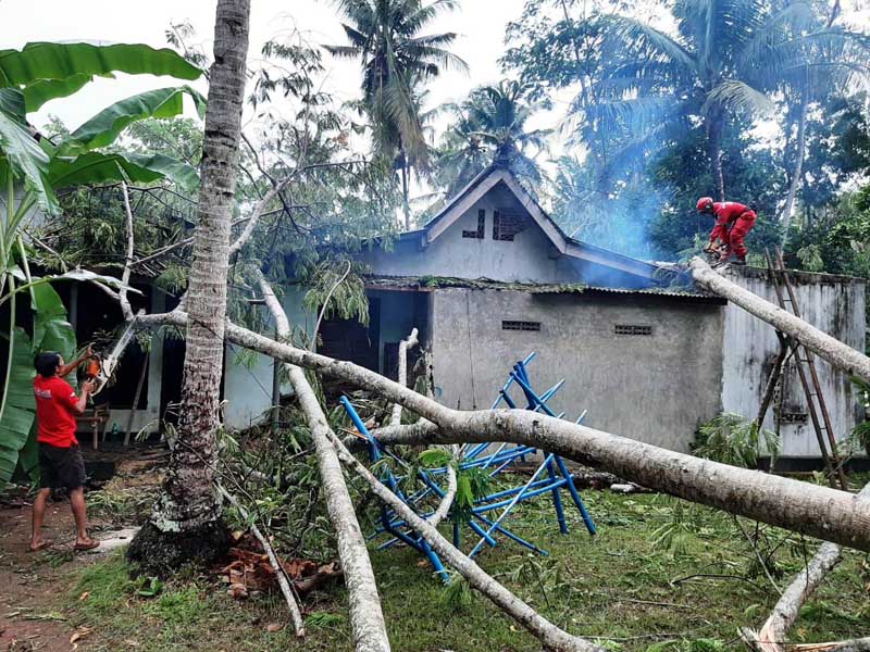 Sepekan, Pohon Bertumbangan dan Longsor Tutup Jalan