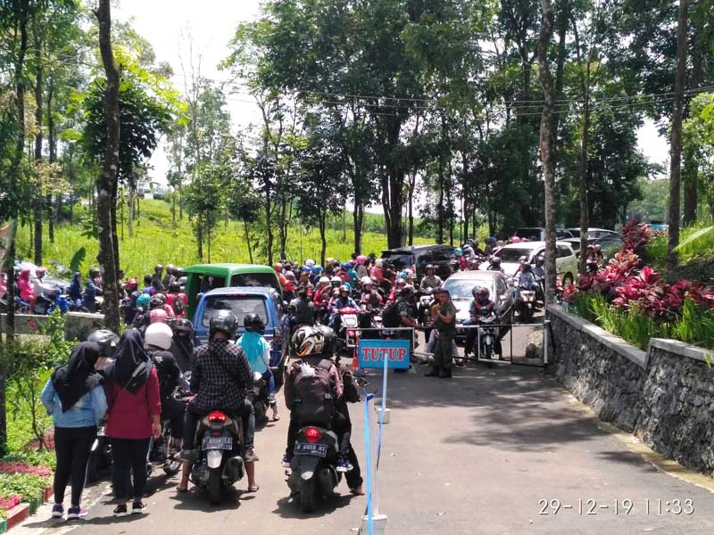 Mulai Ramai, Akses Jalan Hutan Pinus Tak Mamadai