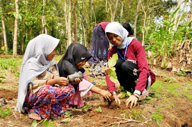 Erosi Tiada Henti, Sungai Lukulo Direboisasi