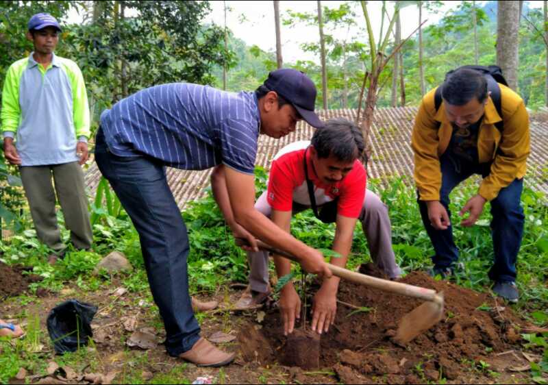 MM Unsoed Dorong Pengembangan Kopi Baseh