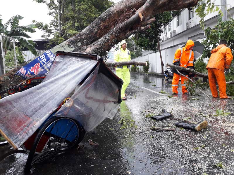 Pohon Tumbang Timpa Becak dan Tutup Jalan Utama