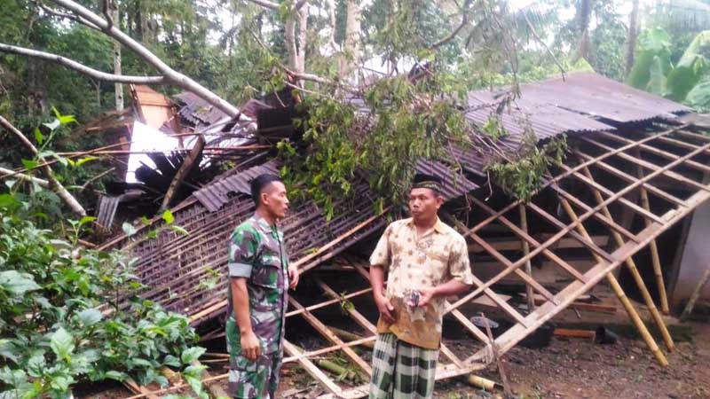 Marak Pohon Tumbang,  Lalulintas Banyumas Sempat Macet