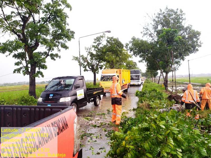 Pohon Tumbang, Lalulintas Jalan Provinsi Tersendat