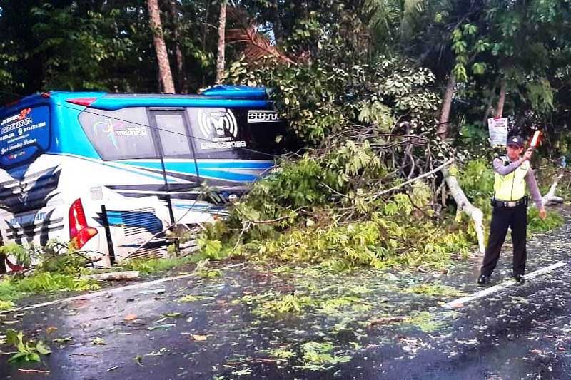 Bus Hantam Pohon, 8 Penumpang Luka
