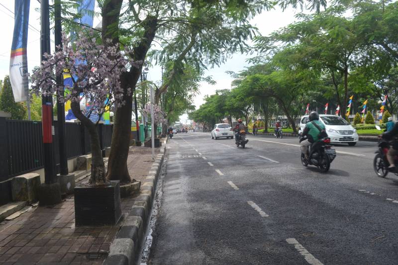 Tiap Tahun, Diusahakan Adanya Penanaman Pohon di Ruas Jalan