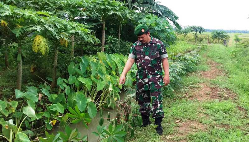 Pamit Olahraga, Kakek Meninggal di Saluran Air