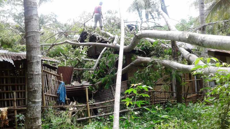 Diterjang Angin, 8 Rumah Rusak Tertimpa Pohon