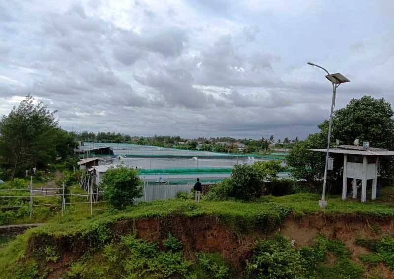 Hutan Pantai Terdesak Tambak, Pantai Rawan Abrasi