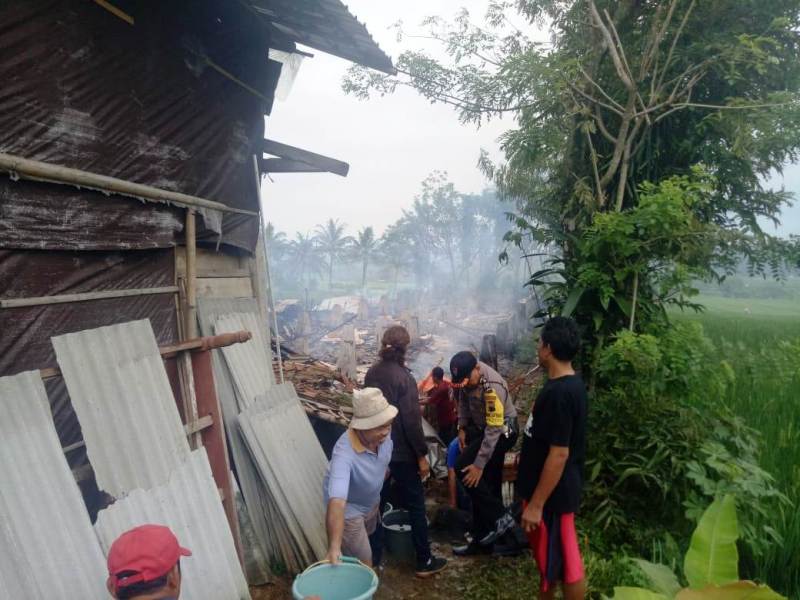 12 Ribu Ekor Ayam Terpanggang