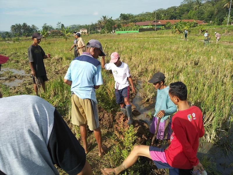 Aneh, 80 Persen Jadi Petani Sektor Pertanian Minim Anggaran