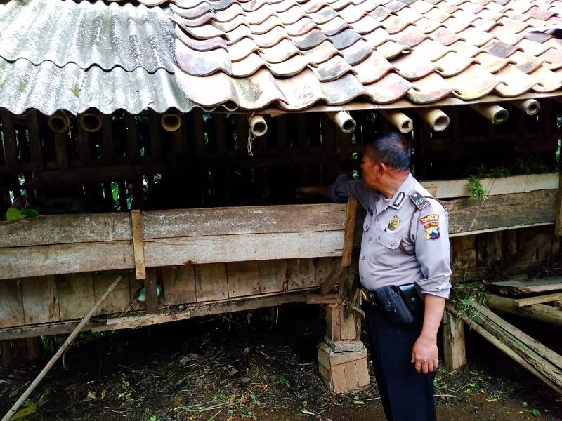 Empat Kambing di Gununglurah Cilongok Raib Dicuri