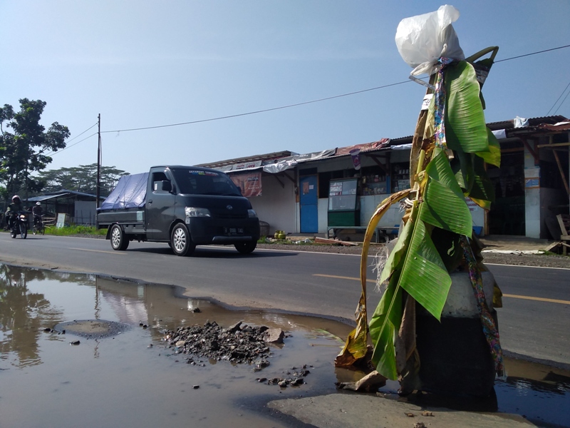 Berlubang, Jalan Nasional Ditanam Pohon Pisang