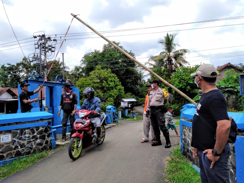 Lapak Merpati Kolong Ditutup