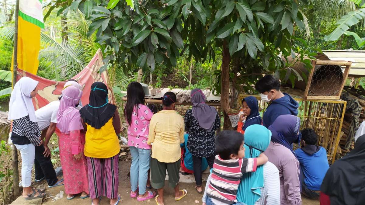 Celeng Aneh di Pekuncen Jatilawang, Pemilik: Hasil Berburu di Pengandaran