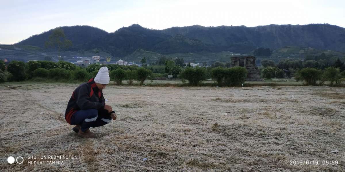 Kemarau Basah, Suhu Turun Drastis, Kawasan Dieng Membeku