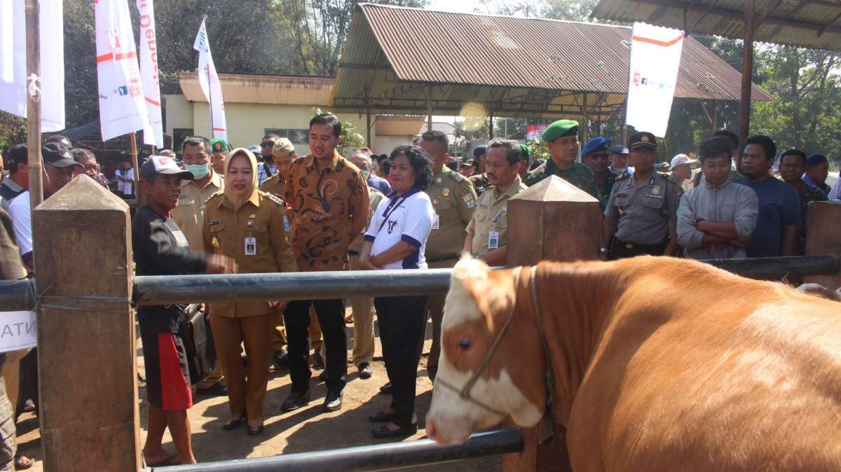 Transaksi Hewan Kurban Meningkat di Purbalingga, Perketat Pengawasan dengan Terjunkan Petugas Kesehatan