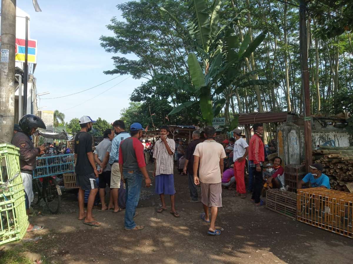 Pasar Jual Beli Burung Merpati di Pinggir Jalan Sokaraja Banyak Berkerumun, Minim Tempat Cuci Tangan