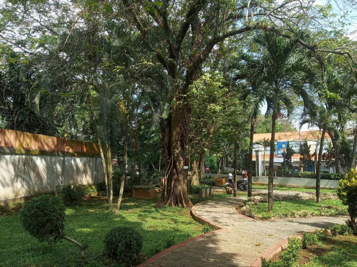 Mulai Digagas Penambahan Flying Fox dan Rumah Pohon di Taman Satria Purwokerto