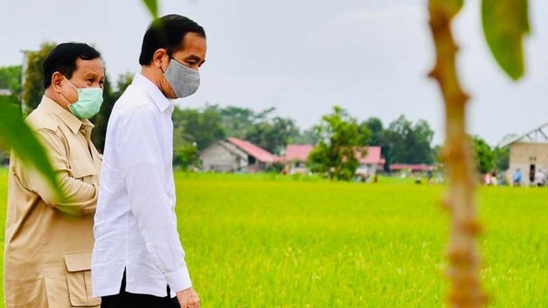 Presiden Cium Aroma Krisis Pangan, Klaster Baru Tumbuh Subur di Jawa Barat