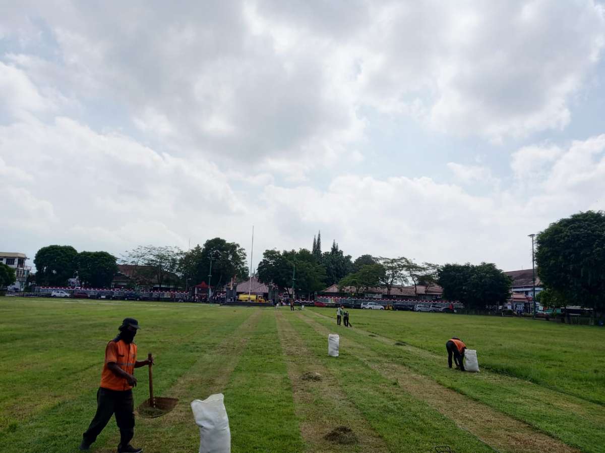 Motif Bergaris Tebal Tipis Rumput Alun-Alun Kota Purwokerto Dibuat Lebar 1,2 Meter