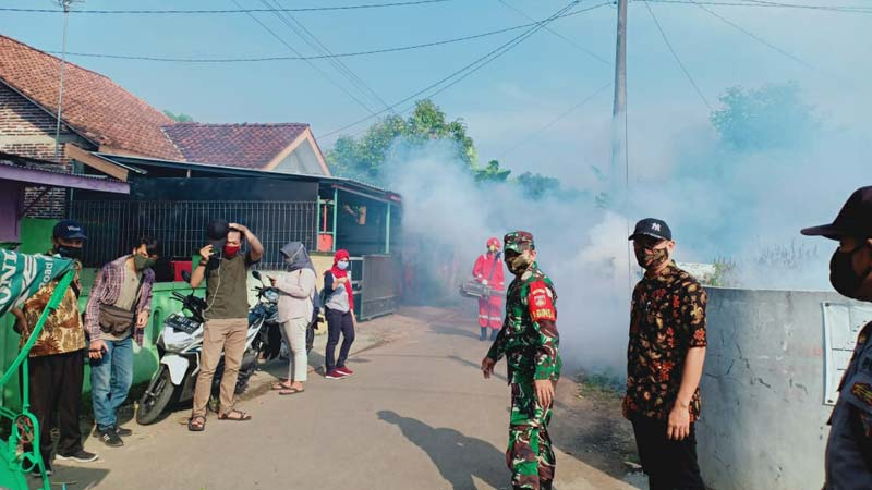 Tujuh Warga Desa Karangduren Terserang DBD