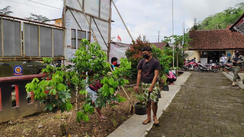 Pelanggar Masker Disanksi Kerja Bakti di Lingkungan Kantor Kecamatan, Hapus Sanksi Karantina