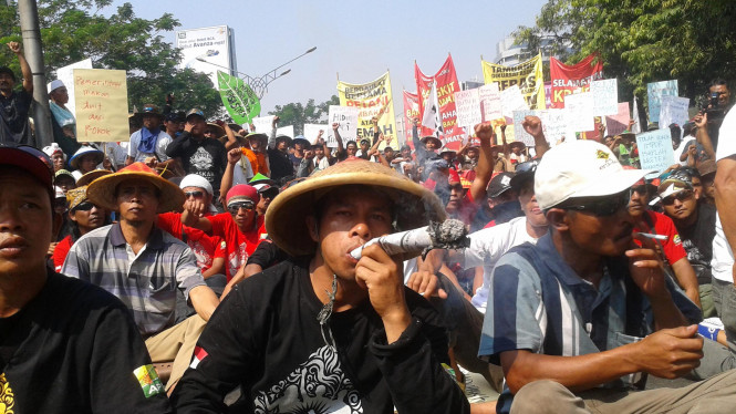 2.000 Petani Tembakau Seluruh Nusantara Akan Geruduk Ibu Kota Jakarta, Tuntut Kaji Ulang Kebijakan Impor Temba