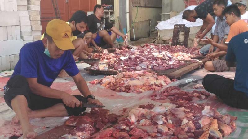 Karena Pandemi, RPH di Kota Banjarnegara Kebanjiran Penyembelihan Sapi untuk Kurban