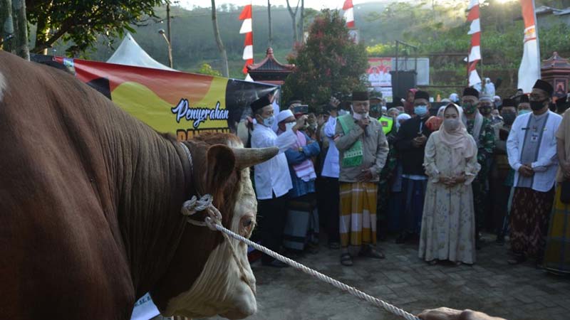 Dapat Hadiah Sapi dari Presiden, Warga Desa Sirau Karangmoncol 