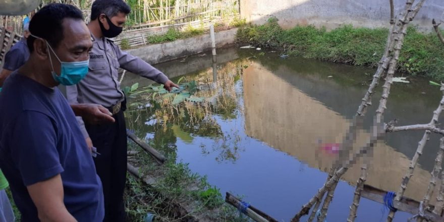 Sudah Pikun, Lansia Ditemukan Meninggal di Kolam Ikan