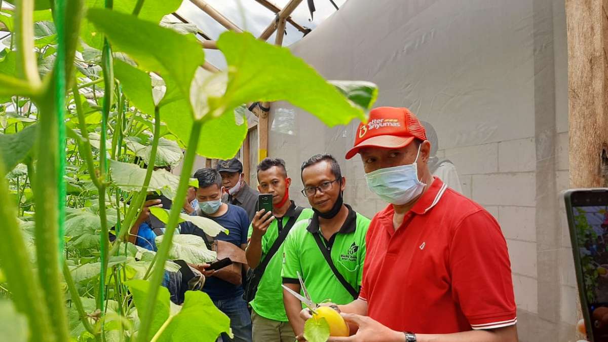 Banyak Tanah Diproses Sertifikat Pemkab, Wabup: Persilahkan Ketersedian Lahan Untuk Petani