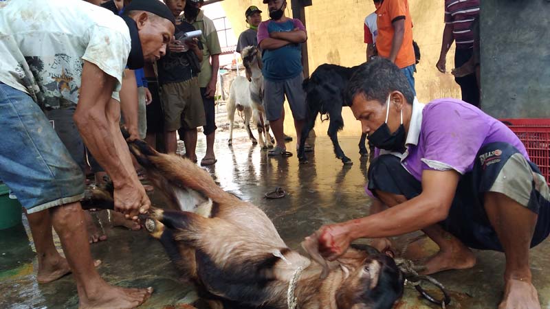 Penyembelihan di RPH Sumpiuh Sampai Antre Tujuh Jam, Pukul 14.30 Baru Kelar