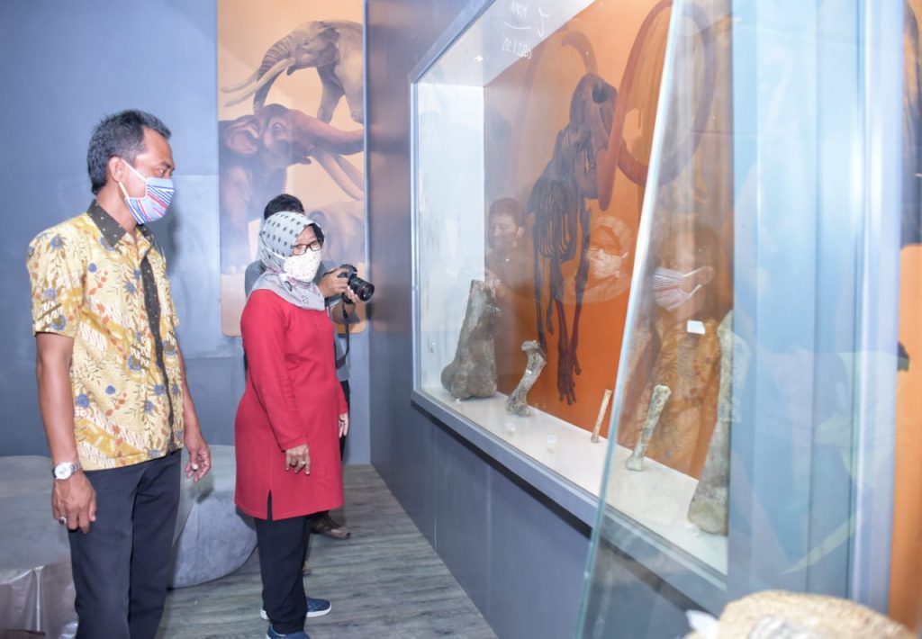 Museum Semedo Tampung 3.100 Fosil