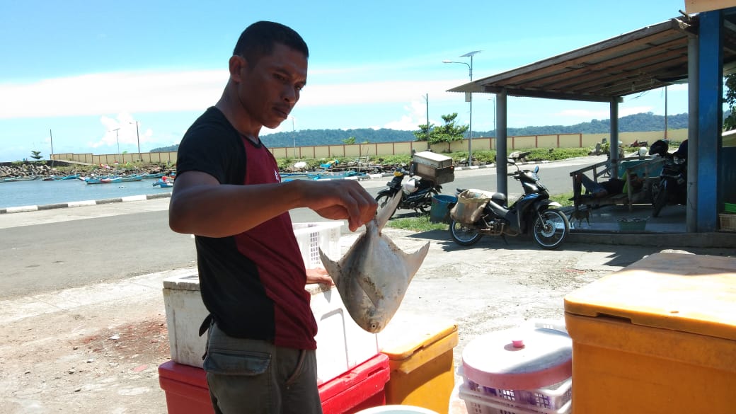 Semester Pertama 2020, Produksi Ikan di Cilacap Capai 7.431.821 Ton