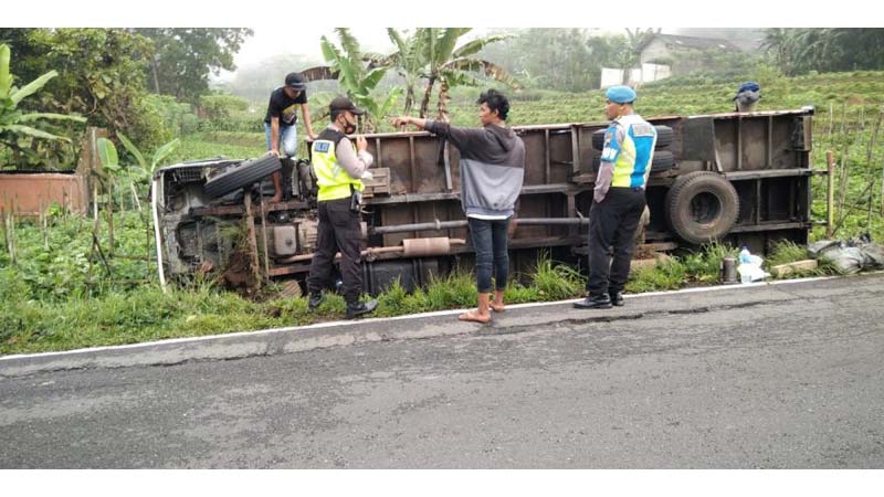 Terlalu ke Kanan Menyalip, Terperosok, Terguling ke Kebun di Karangreja