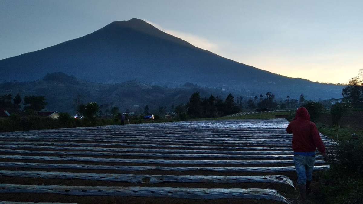 Jalur Nasional Bambangan Gunung Slamet Akhirnya Dibuka, Termasuk dari Baturraden