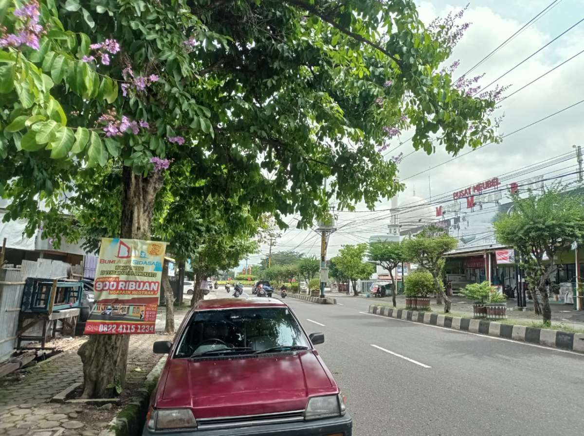 Karena Covid, Tipiring Bagi Pelanggar Reklame Belum Dapat Dilaksanakan