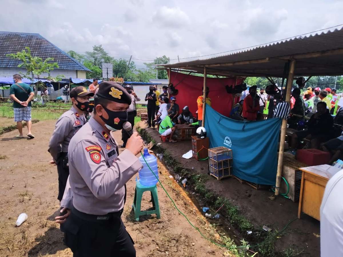 Dihadiri 700 Orang, Lapak Burung Merpati di Karangnangka Mrebet Dibubarkan