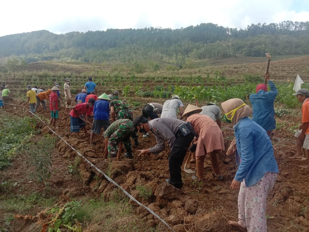 Gugur Gunung, Warga Kalirejo Bangun Jalan Mandiri, Kades: Sudah Rencana Puluhan Tahun Silam