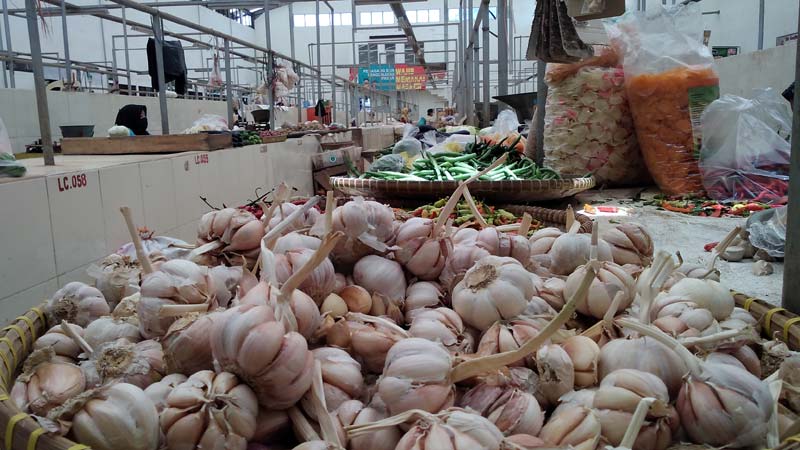 Harga Bawang 
