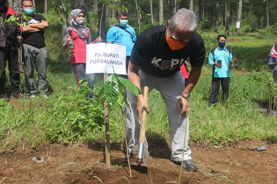 Karangreja dan Karangjambu Didorong Jadi Sentra Kopi Arabika