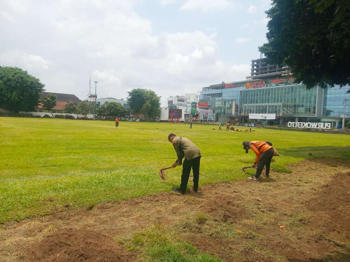 Persiapan Renovasi Alun-Alun Purwokerto, Rumput Tepi Mulai Dicabut