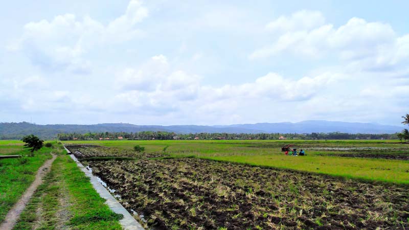Datangi BBWSSO Pertanyakan Embung
