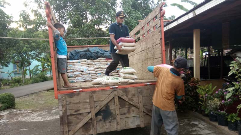 150 Hektare Sawah Dinyatakan Puso  Akibat Banjir di Sumpiuh