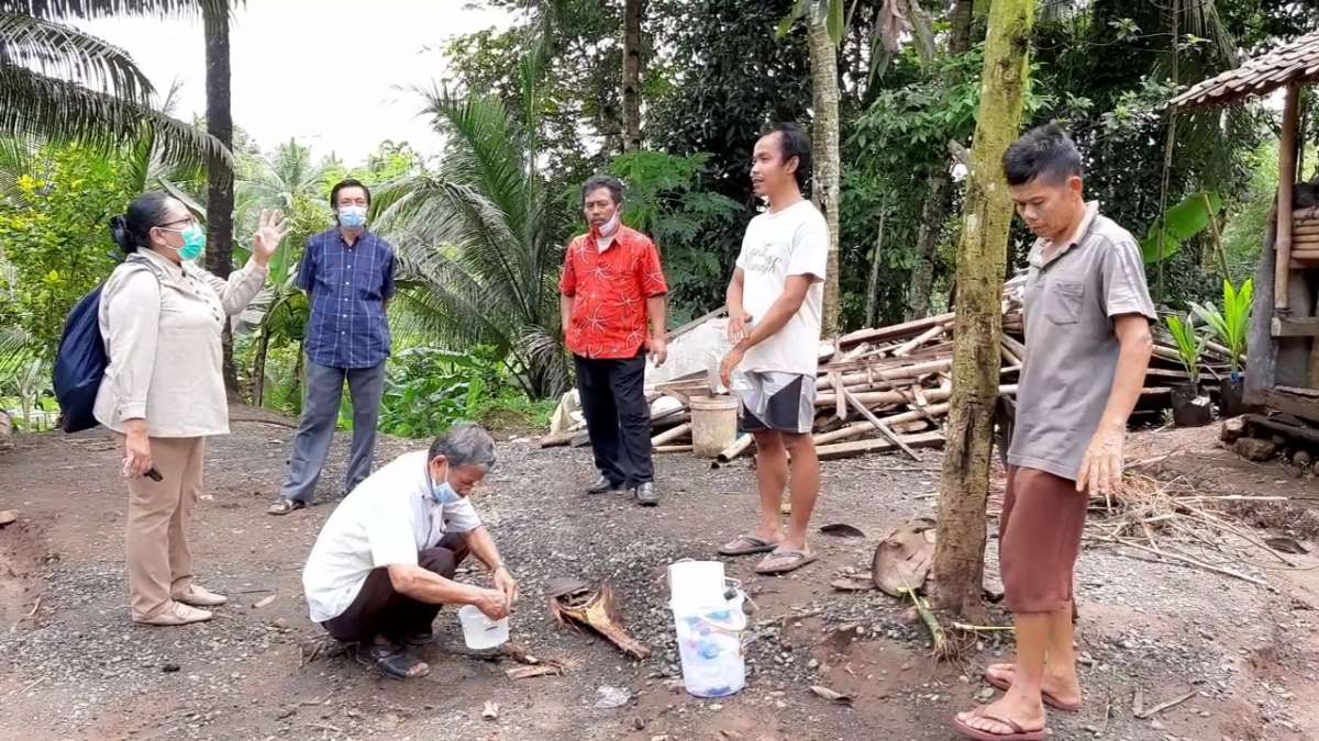 Desa Pageraji Cilongok Diserang Semut, Tim Ahli Unsoed Turun Tangan, Semut Pageraji Lebih Suka Hewan Hidup