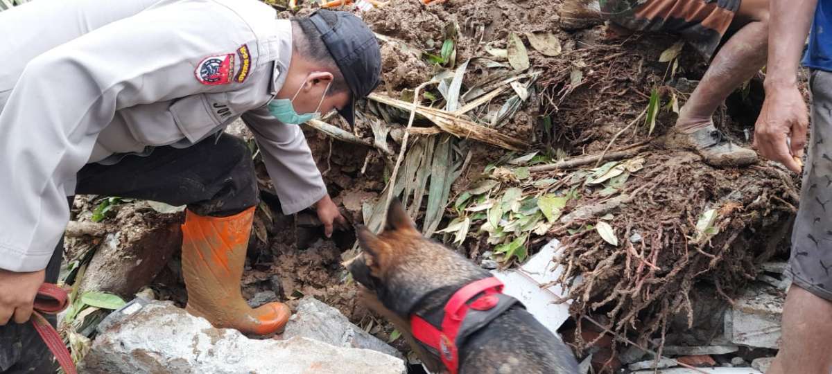 Longsor di Banjarpanepen, Kerahkan Anjing Pelacak untuk Temukan Korban, Kapolresta: Hari Ini Masih Pencarian L