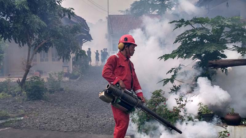 Satu RT di Desa Kedondong Sokaraja Difogging, Separuh Warga Sakit Mirip Cikungunya