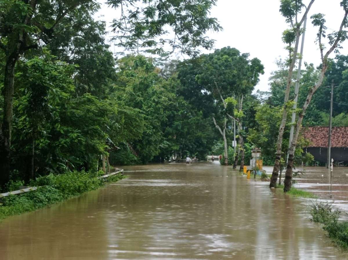 Banjir Serayu Hingga ke Ruas Jalan di Pegalongan, Arus Lalu Lintas Patikraja - Banyumas Dialihkan